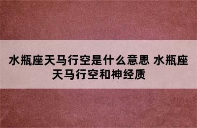 水瓶座天马行空是什么意思 水瓶座天马行空和神经质